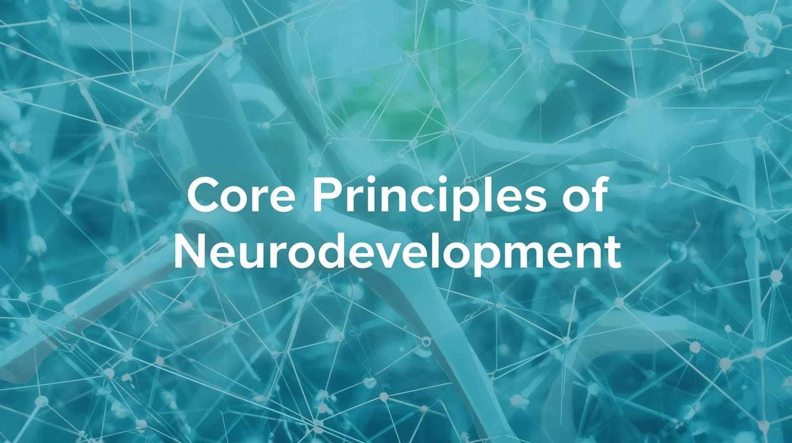 신경발달의 핵심 원리